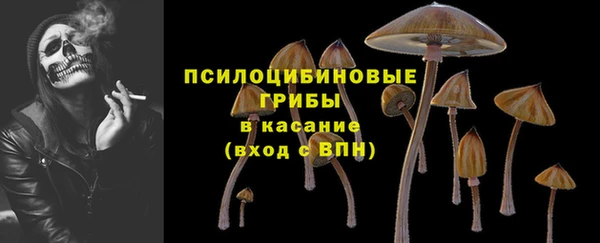 эйфоретик Вязники