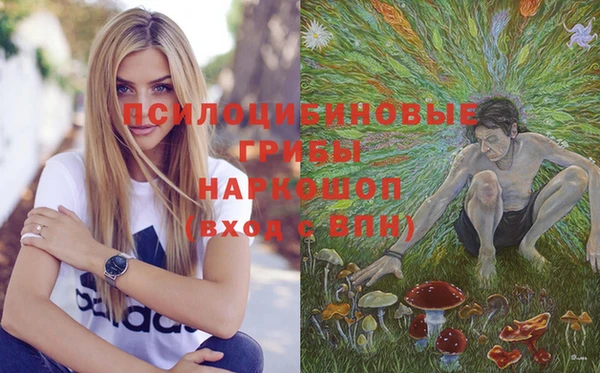 дурь Волосово