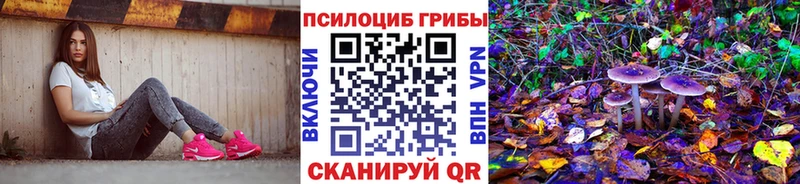 MEGA зеркало  Щёлково  Галлюциногенные грибы GOLDEN TEACHER 